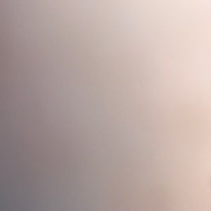 Meet your Posher, Nico